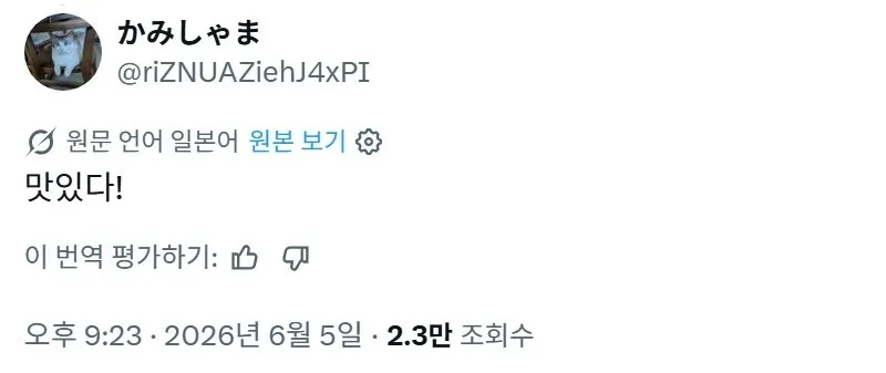 X] 일본의 특이한 도시락.twt