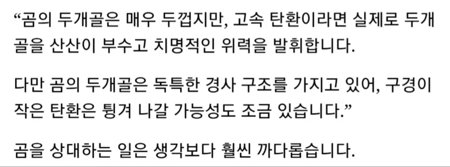 총으로도 곰 사냥은 쉬운게 아닙니다
