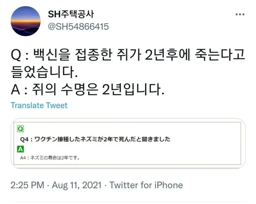 백신을 접종한 쥐들은 2년을 못 넘긴다고 한다