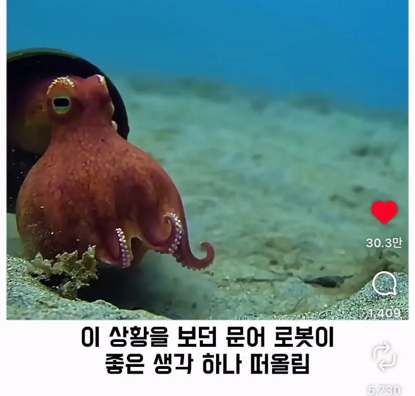 스압, 데이터 주의) 은혜 갚은 똑똑한 문어