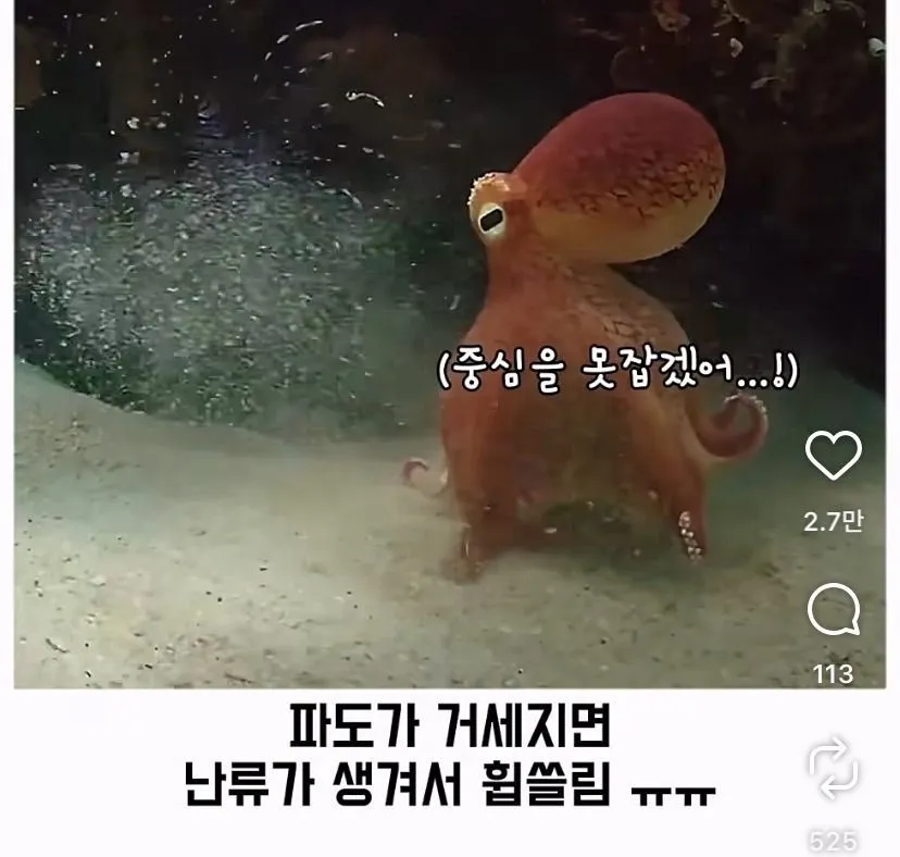 스압, 데이터 주의) 은혜 갚은 똑똑한 문어