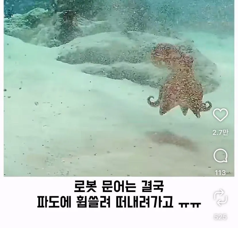 스압, 데이터 주의) 은혜 갚은 똑똑한 문어