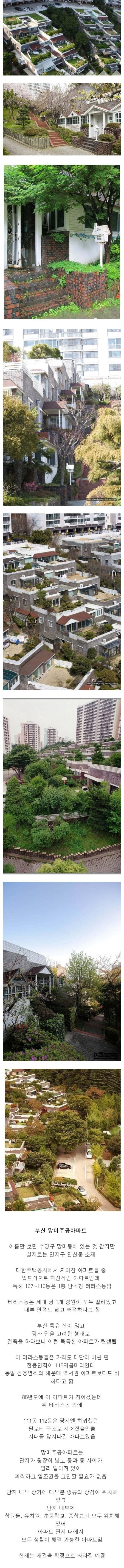 우리나라 아파트중 가장 특이할 아파트