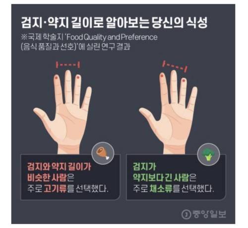 손가락 길이로 식성을 알수있음.jpg