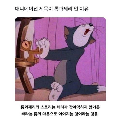 애니메이션 제목이 톰과제리 인 이유 