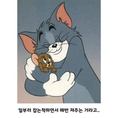 애니메이션 제목이 톰과제리 인 이유 
