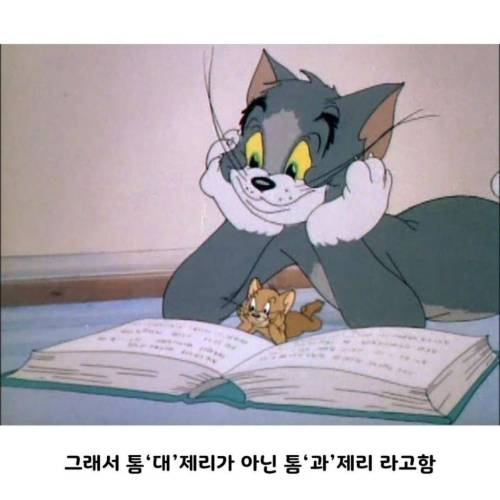 애니메이션 제목이 톰과제리 인 이유 