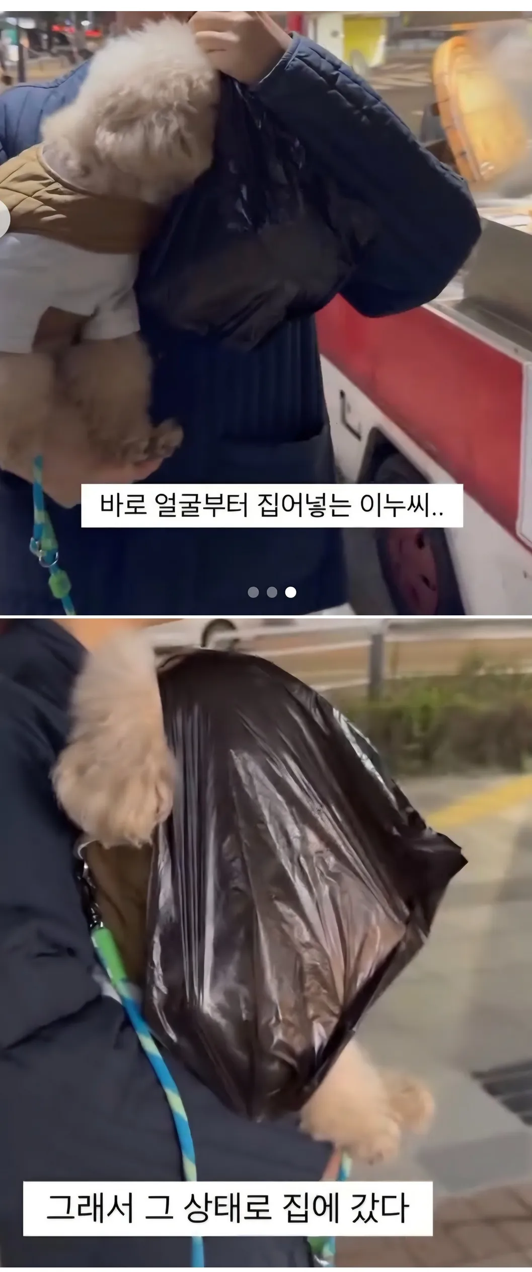집앞에 엄청난게 생겨버렸다