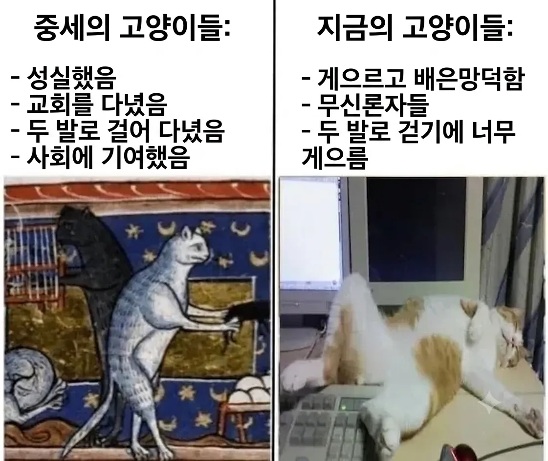 옛날 고양이와 지금 떼껄룩의 차이.jpg