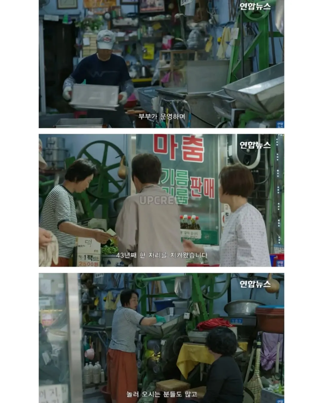 방앗간 사장님이 목숨걸고 지키는 고목나무.jpg