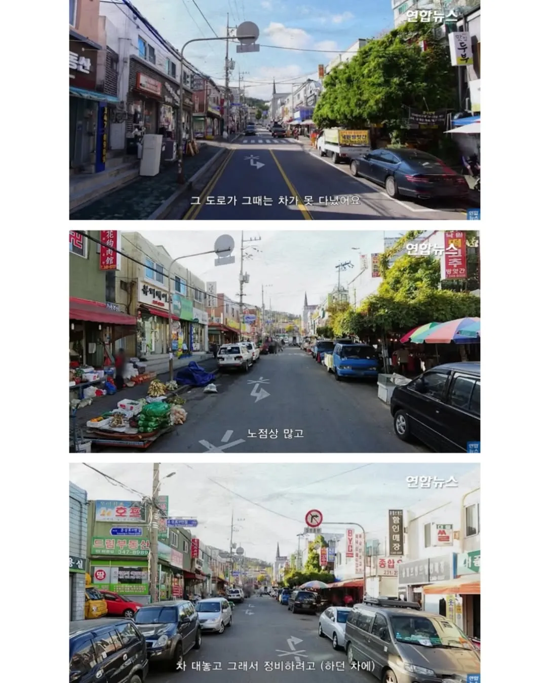 방앗간 사장님이 목숨걸고 지키는 고목나무.jpg