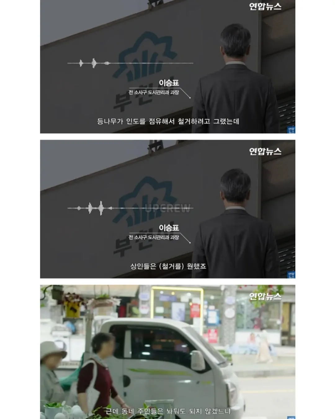 방앗간 사장님이 목숨걸고 지키는 고목나무.jpg