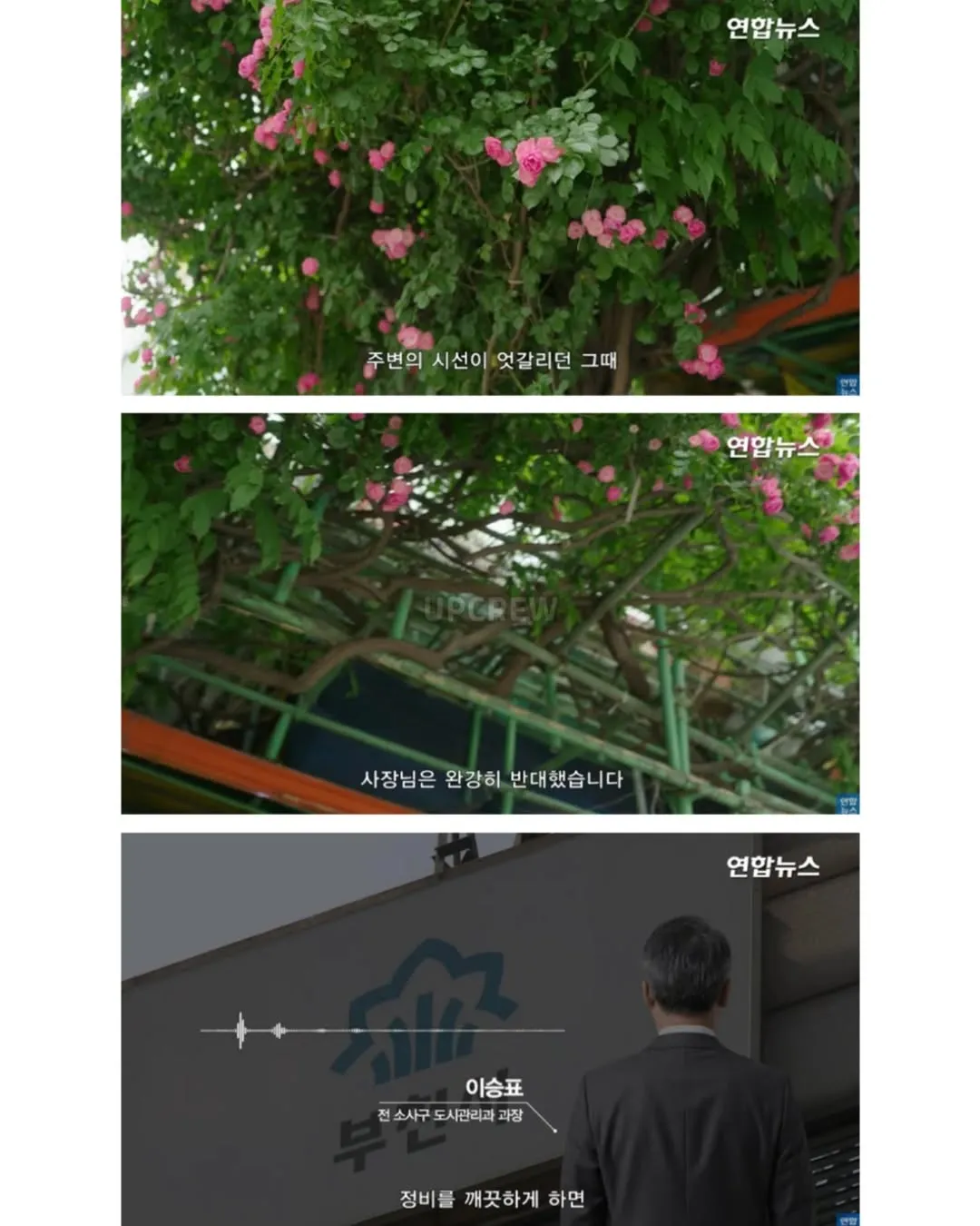 방앗간 사장님이 목숨걸고 지키는 고목나무.jpg