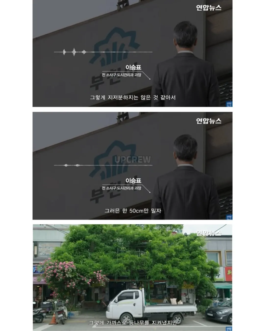 방앗간 사장님이 목숨걸고 지키는 고목나무.jpg