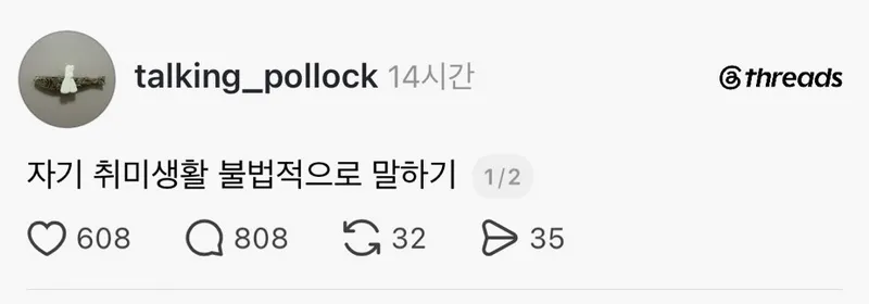 취미가 뭔지 불법적으로 말해 보자.t