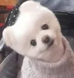 취미가 뭔지 불법적으로 말해 보자.t