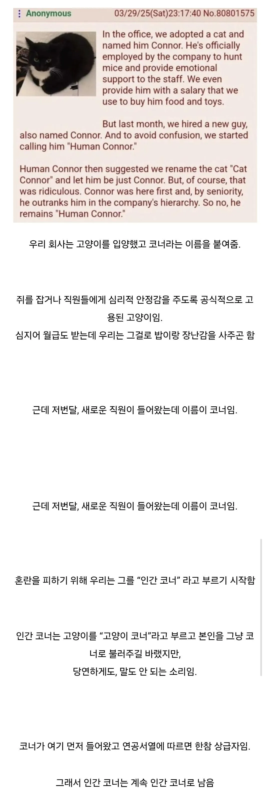 미국의 직장내 연공서열 문화.jpg