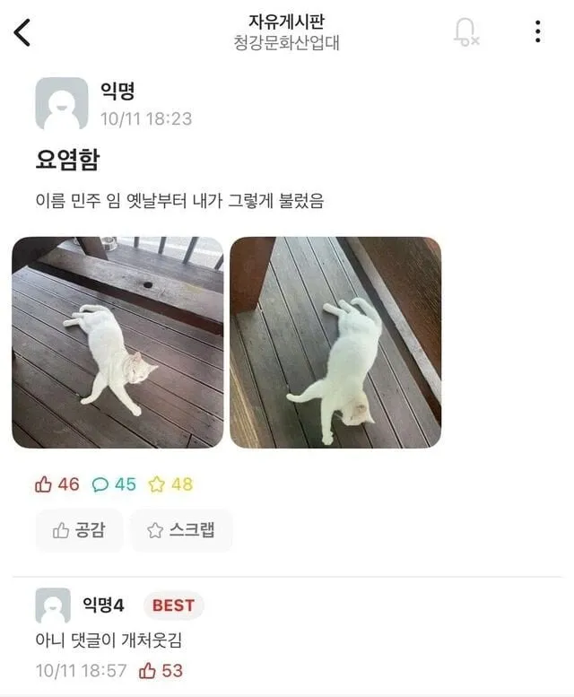 이름이 민주크레토스봉팔이 된 이유
