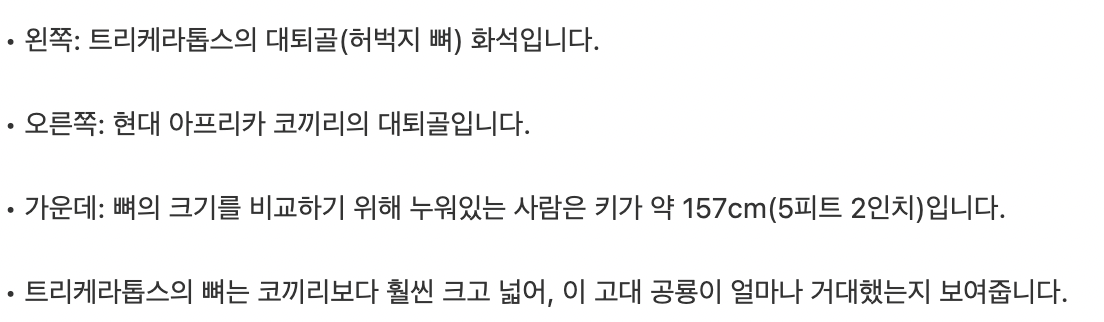 공룡과 현대의 동물 뼈 크기 비교