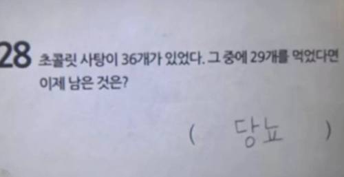 누가 봐도 정답인 초등학생 시험 답안