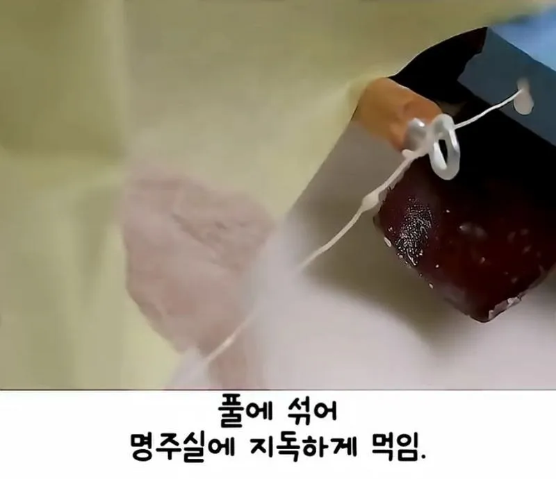 이순신의 승리를 이끈 바다 위의 전술 신호연