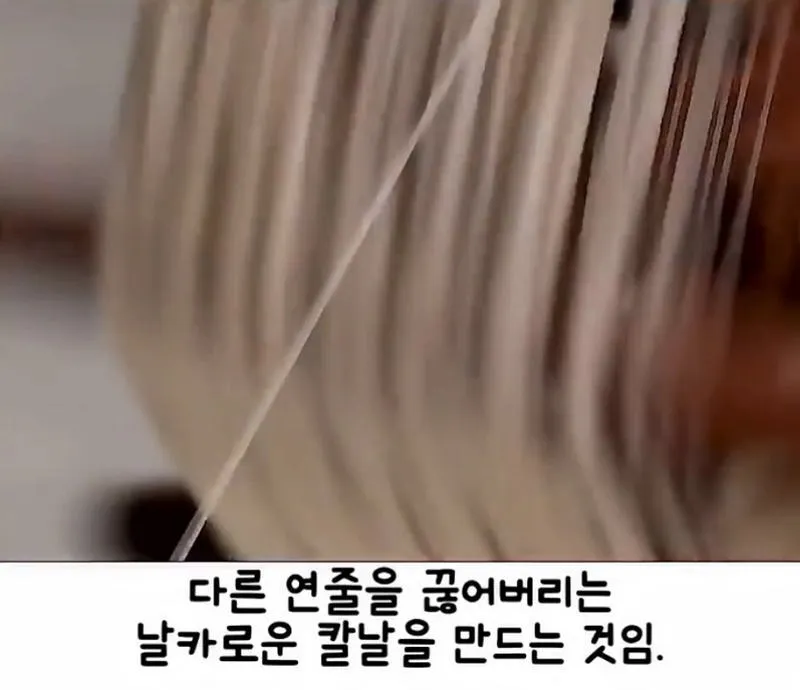 이순신의 승리를 이끈 바다 위의 전술 신호연