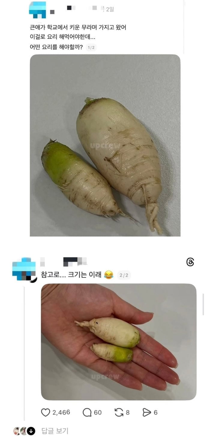 큰애가 키운 무
