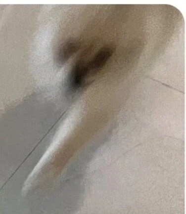 친구집에서 발매트인줄 알고 밟고 있던 것의 정체