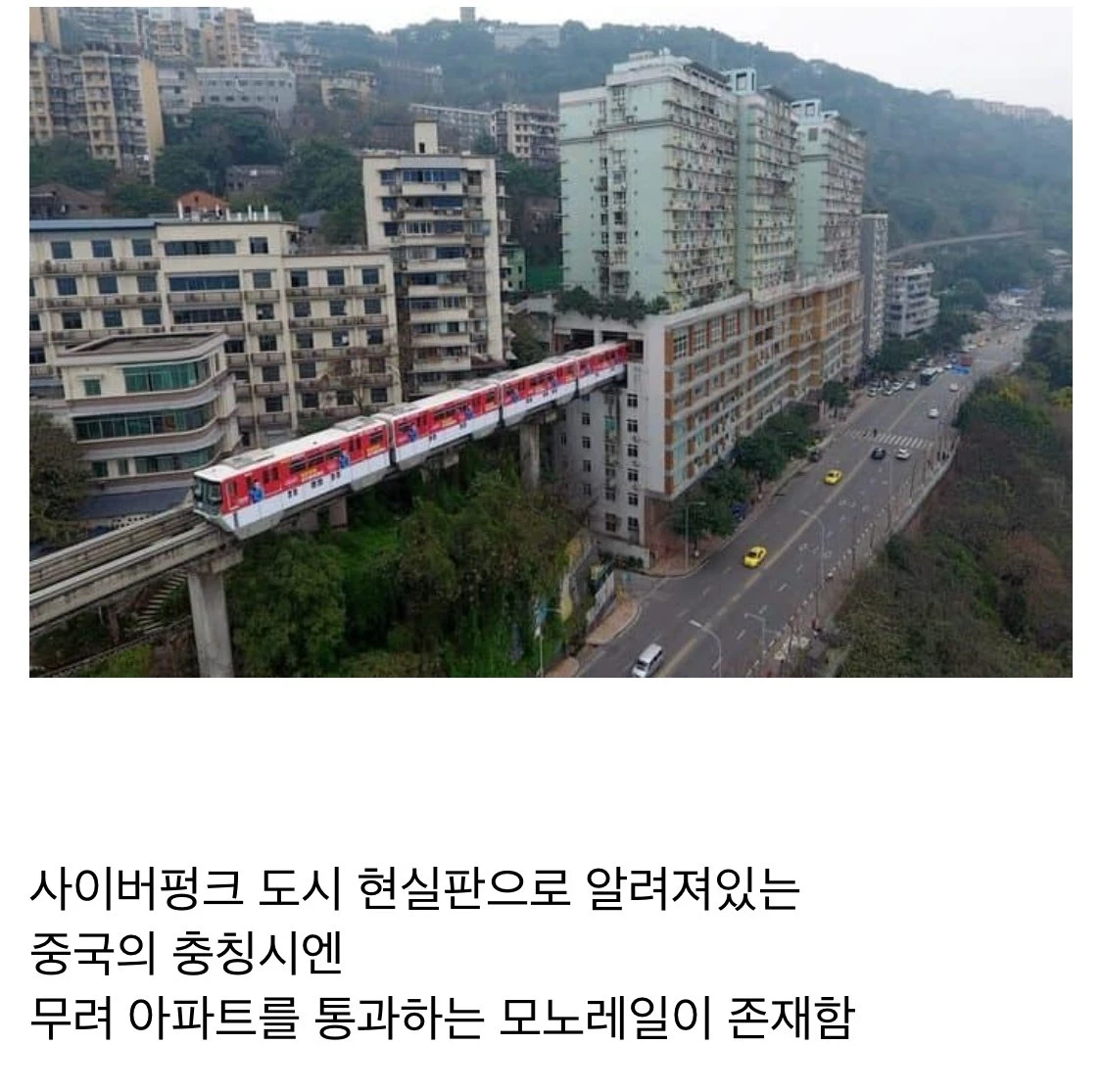 중국 충칭시에서 사람들이 입벌리는 이유