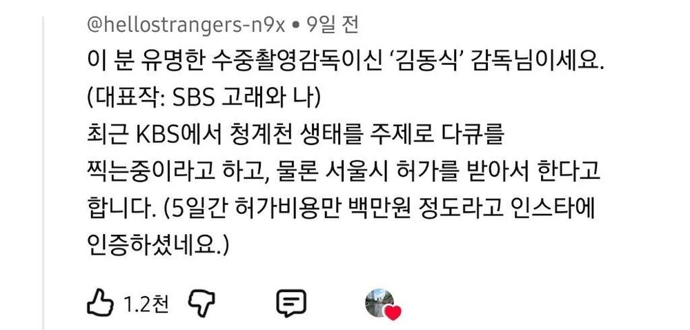청계천에서 발견된 의문의...(더보기)