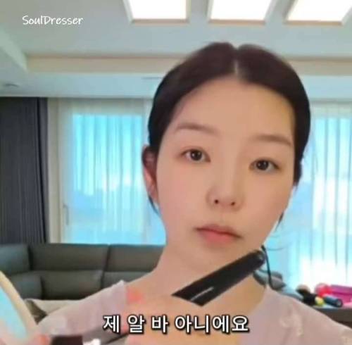 항공사 지상직이 겪은 진상 연예인