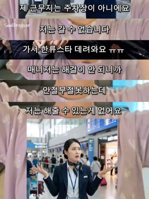 [스압] 항공사 지상직이 겪은 진상 연예인