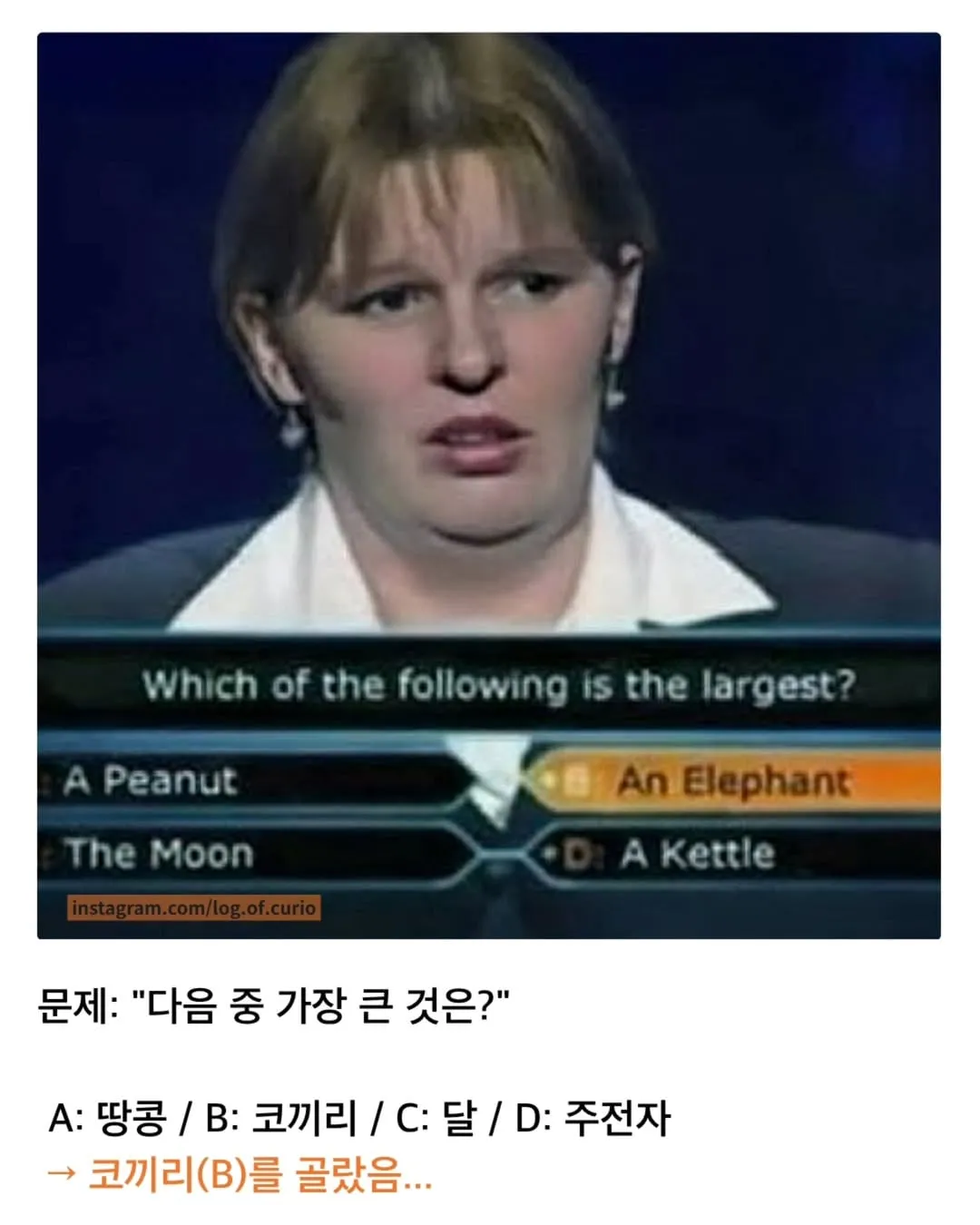 자신이 멍청하다고 생각이 들땐.,jpg