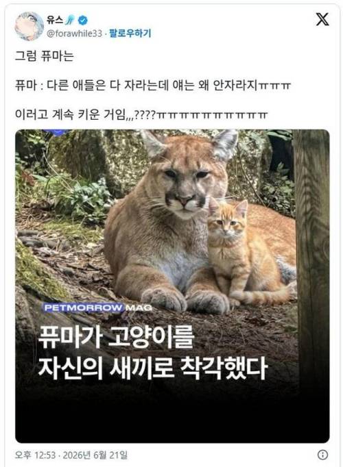 우리 애기가 너무 안자라요