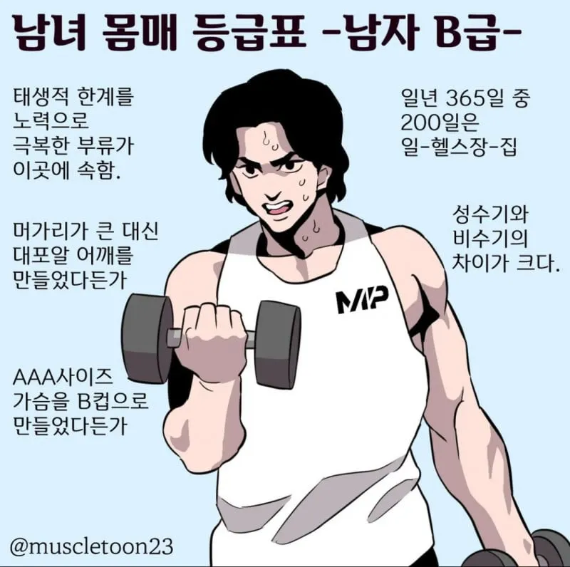 남녀 몸매 등급표 A~D
