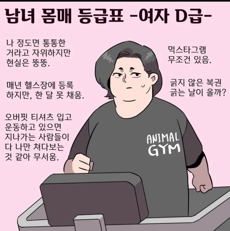 남녀 몸매 등급표 A~D