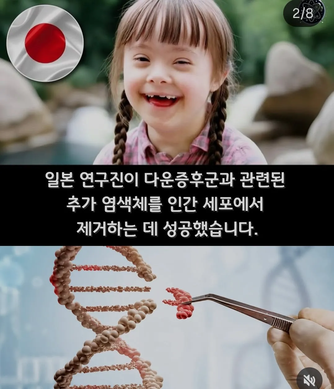 뉴스에는 안나오는 세계의 희망적인 소식들