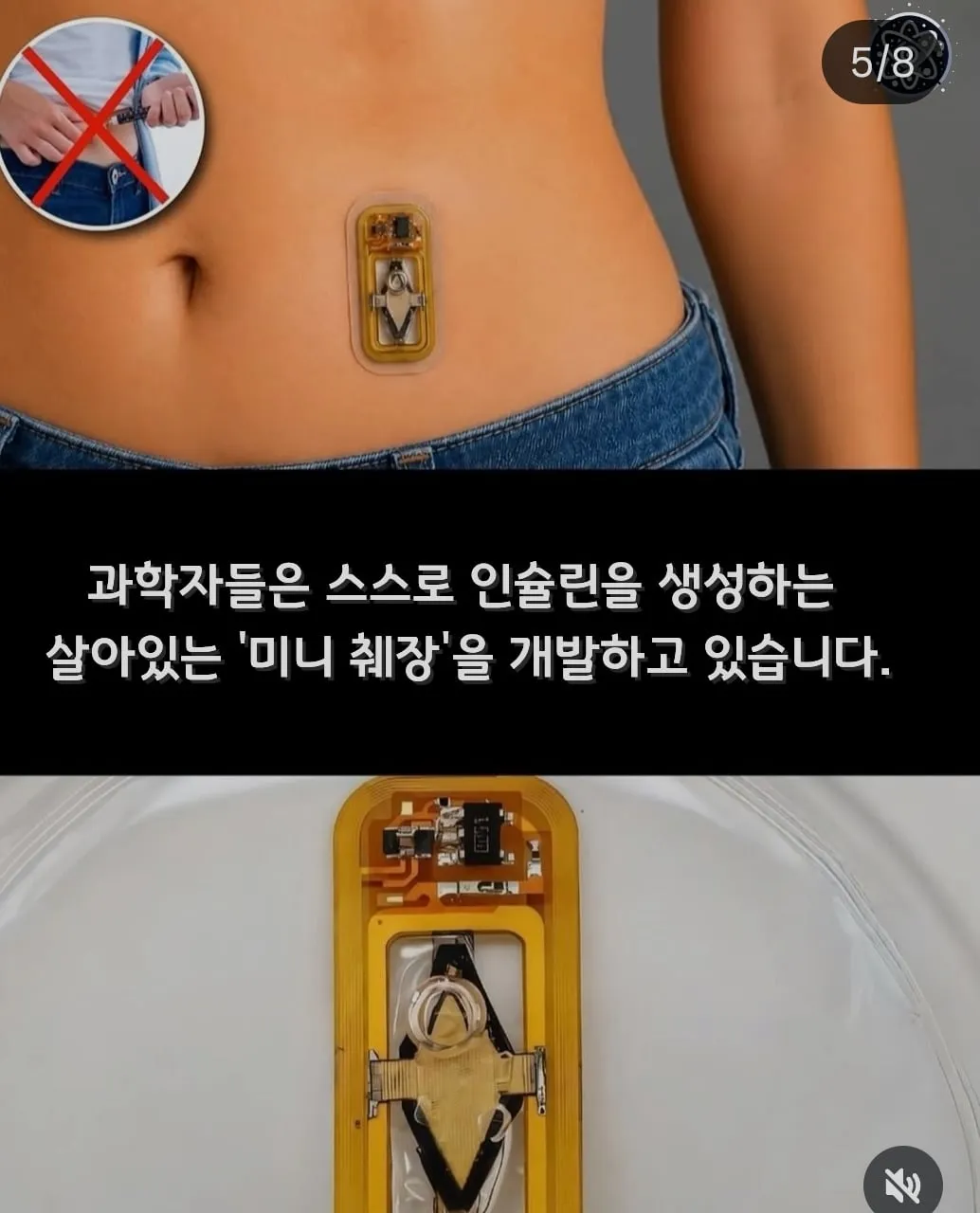 뉴스에는 안나오는 세계의 희망적인 소식들