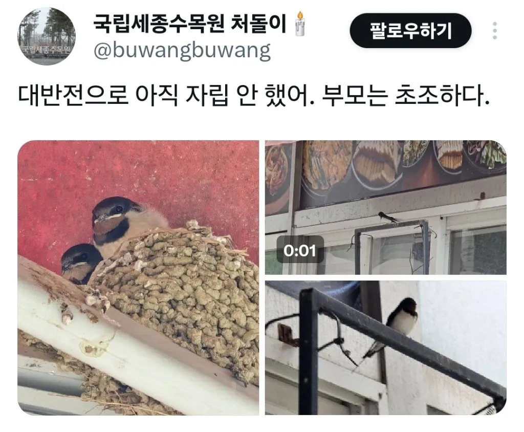 ??? : 다 컸으면 자립하라고!!!