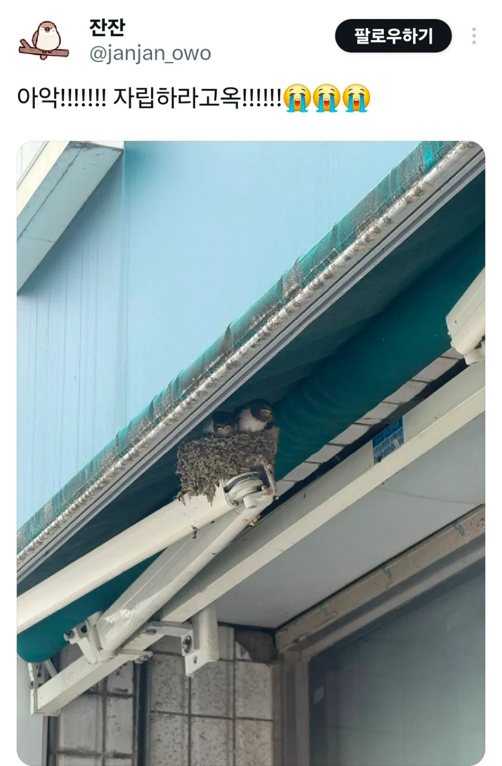 ??? : 다 컸으면 자립하라고!!!