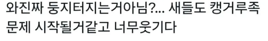 ??? : 다 컸으면 자립하라고!!!