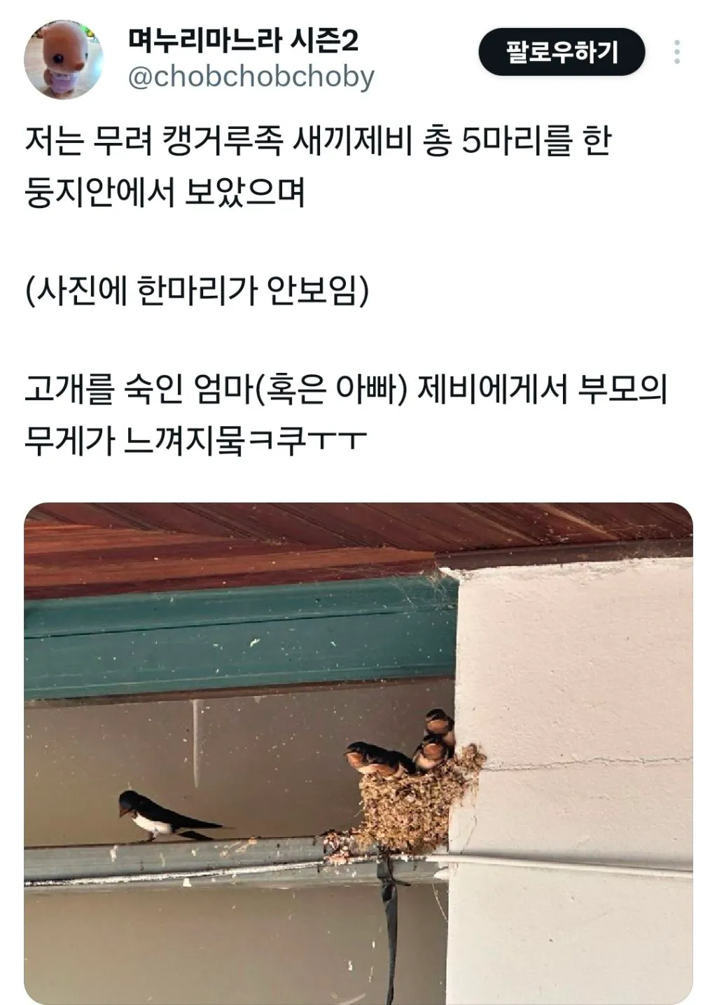 ??? : 다 컸으면 자립하라고!!!