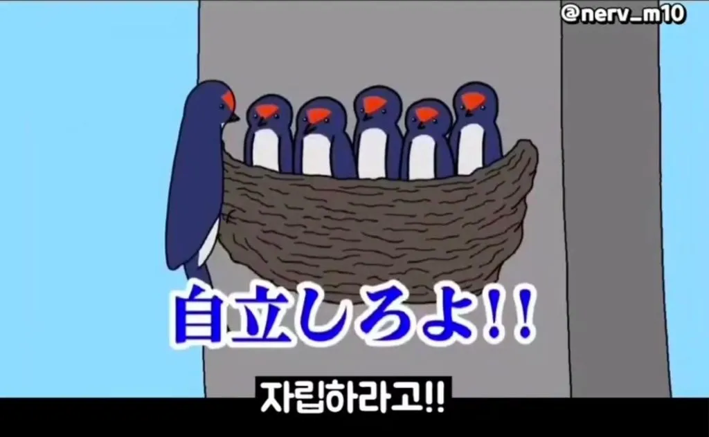 ??? : 다 컸으면 자립하라고!!!