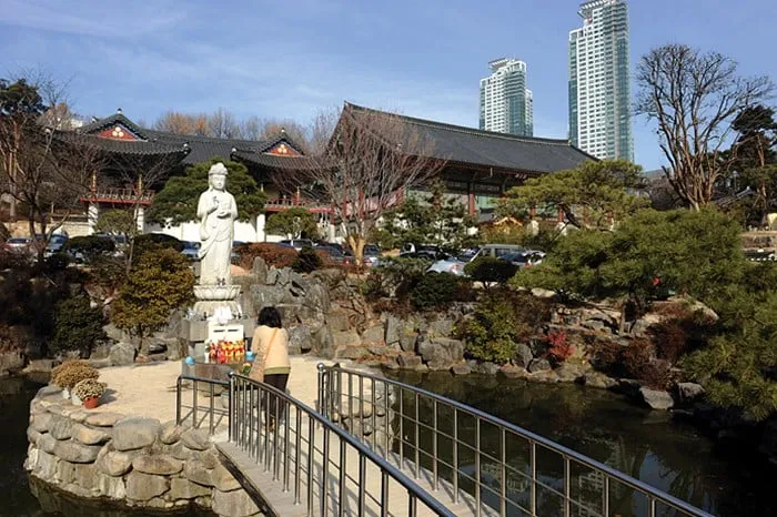 의외로 강남구에 있는 것들.jpg