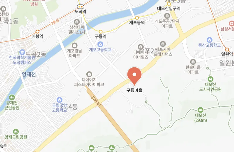 의외로 강남구에 있는 것들.jpg