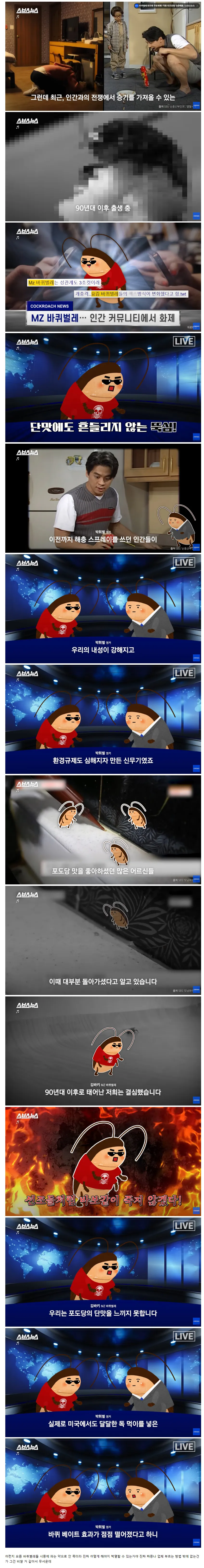 요즘 바퀴벌레가 쉽게 죽지 않는 이유