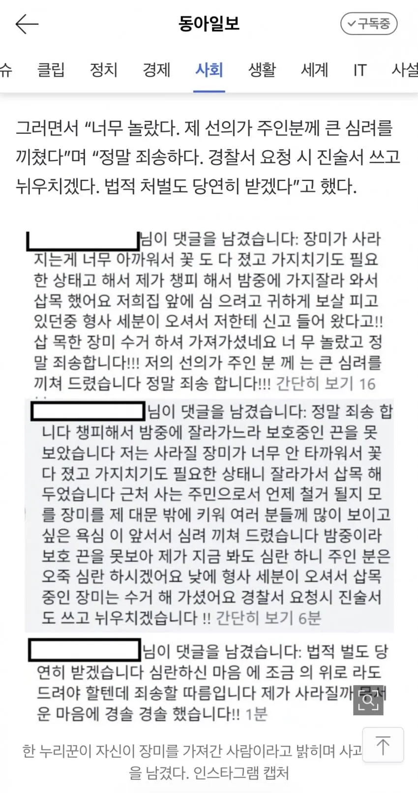 수원 행궁동 장미 사건 근황