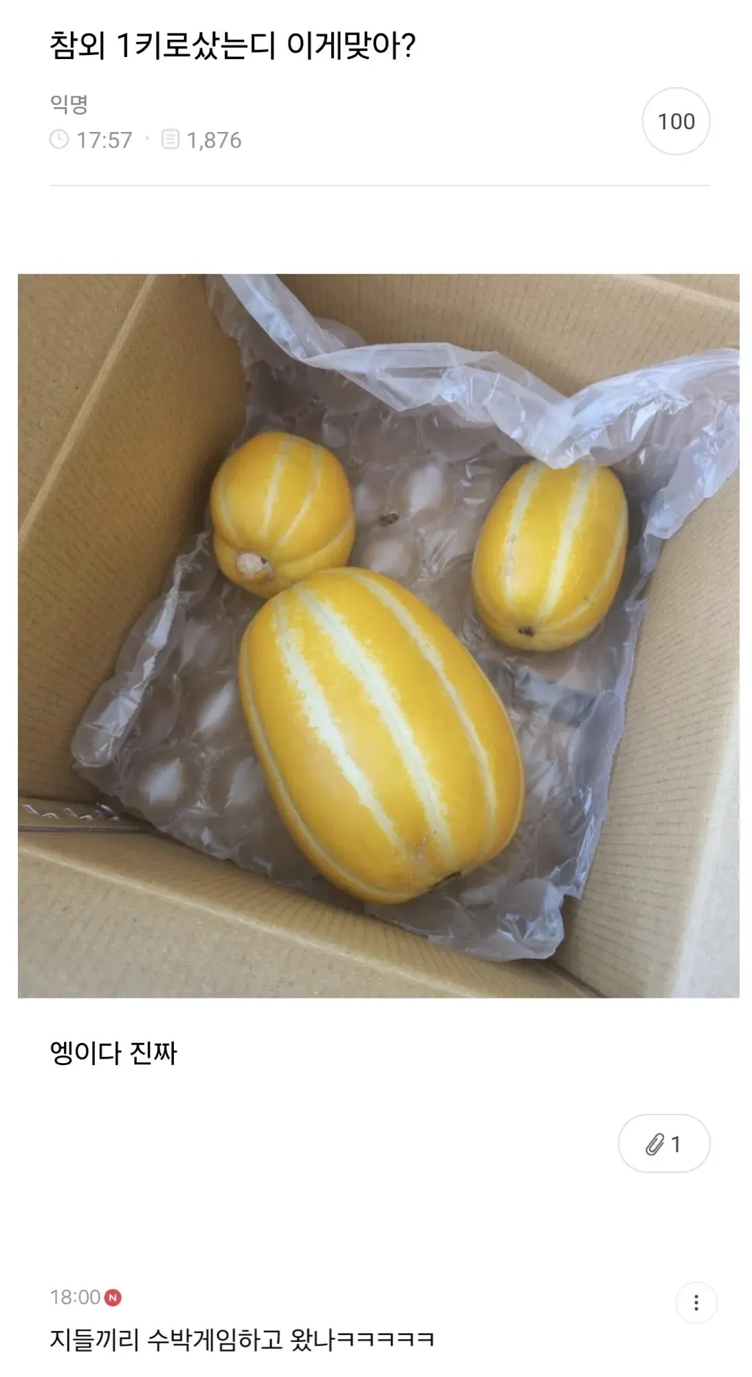 참외 1kg을 샀는데...