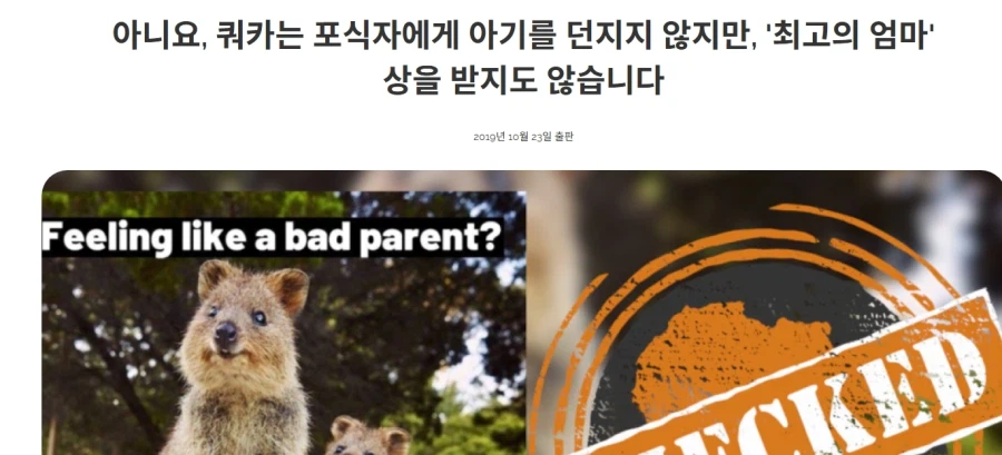 쿼카는 새끼를 위험할때 버리고 튀지 않는다