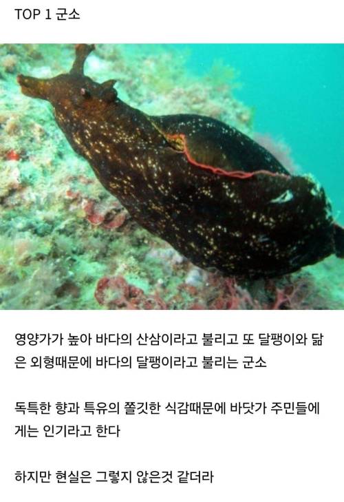 먹방 유튜버들조차 먹기 포기한 것 TOP 3 작성시간